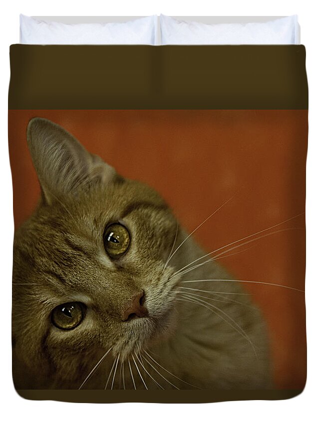 Cat Duvet Cover featuring the photograph Vinny the Kitty by Mitch Spence