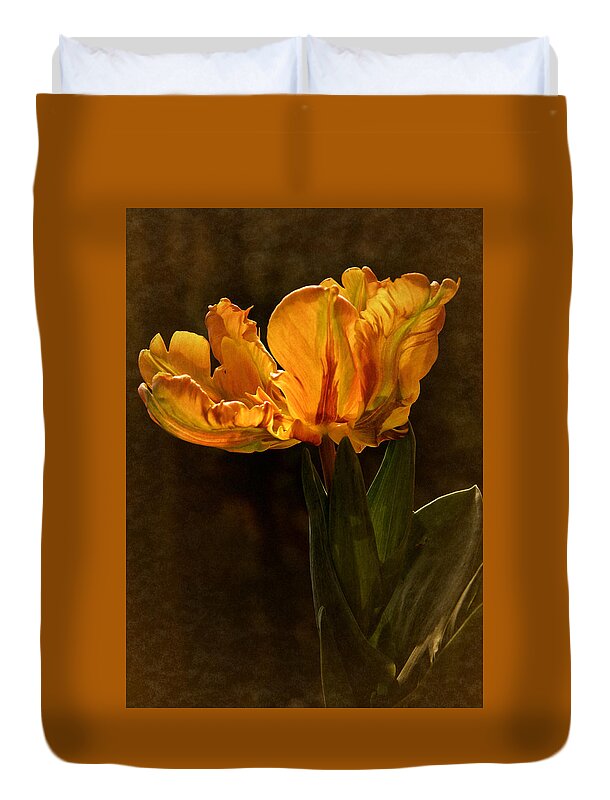 Tulip Duvet Cover featuring the photograph Vintage 2017 Tulip by Richard Cummings