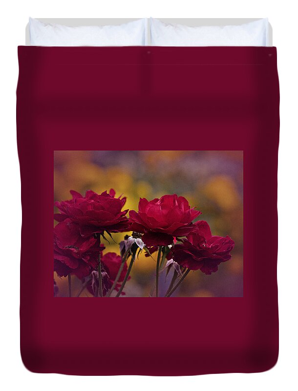 Red Roses Duvet Cover featuring the photograph Vintage Aug Red Roses by Richard Cummings