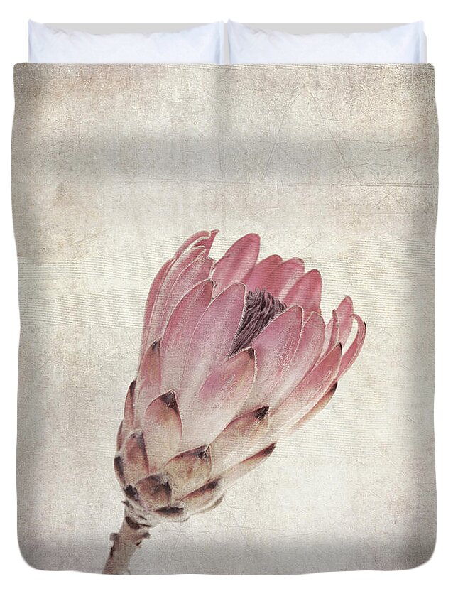 Protea Duvet Cover featuring the photograph Vintage protea flower by Jane Rix