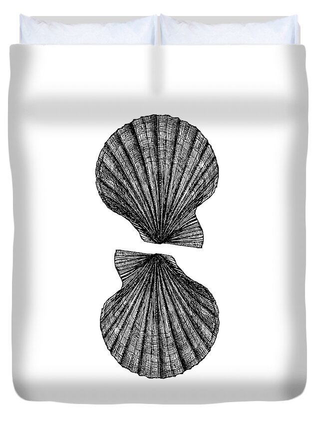 Vintage Duvet Cover featuring the photograph Vintage Scallop Shells by Edward Fielding