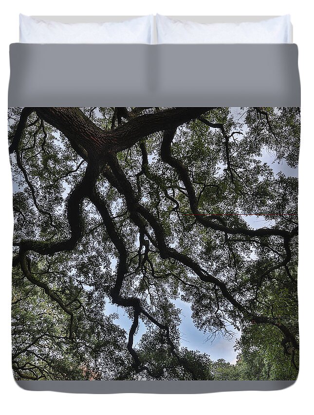 Tree Duvet Cover featuring the photograph Vintage Shade by Jimmy McDonald