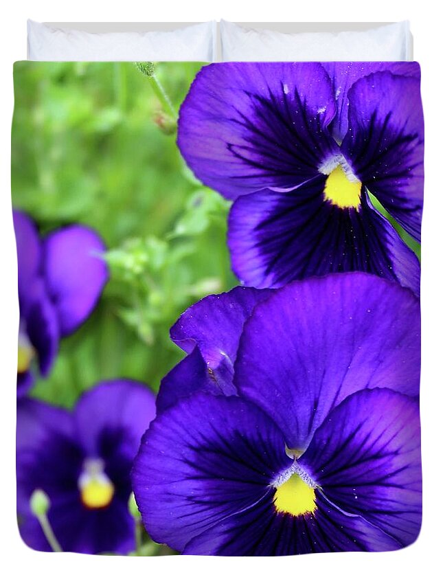 Photograph Duvet Cover featuring the photograph Violet Purple Pansies by M E