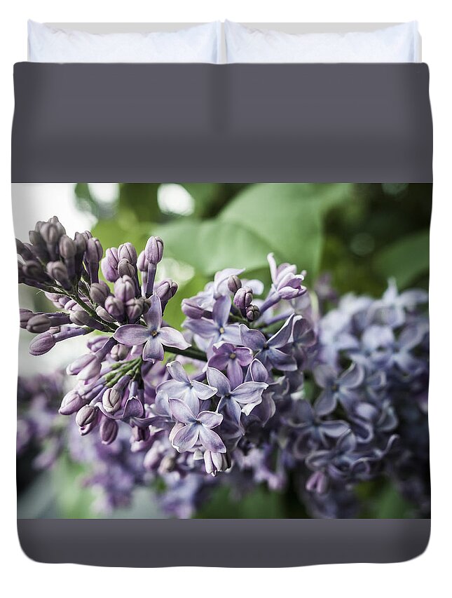 Miguel Duvet Cover featuring the photograph Vivid Dreams by Miguel Winterpacht