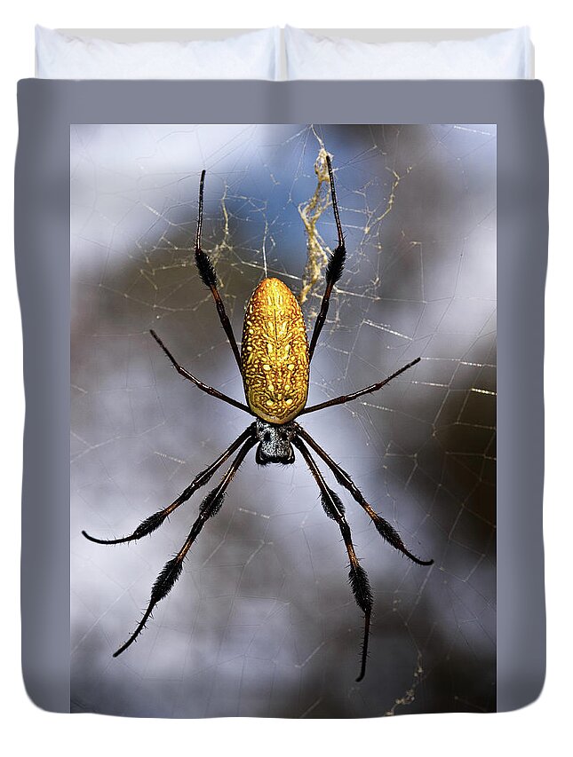 Golden Silk Orb-weaver Duvet Cover featuring the photograph Waiting by Christopher Holmes