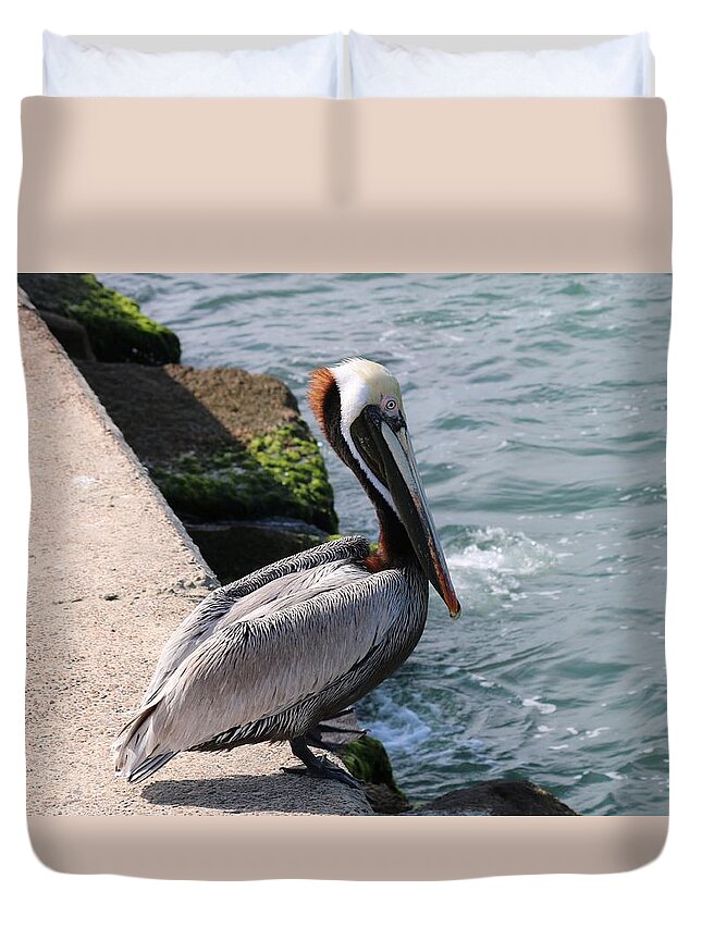 Pelican Duvet Cover featuring the photograph Waiting for a Fish - 2 by Christy Pooschke