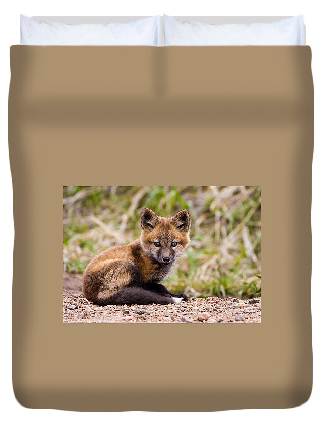 Fox Kit Duvet Cover featuring the photograph Waiting For Mom by Mindy Musick King