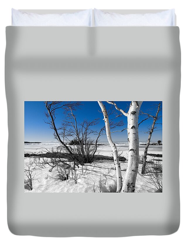 Lake Superior Duvet Cover featuring the photograph Waiting for Spring by Doug Gibbons