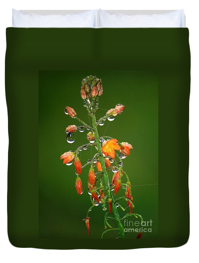 Green And Orange Duvet Cover featuring the photograph Waiting for Sunshine by Carol Groenen