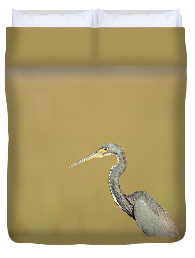 Everglades National Park Duvet Cover featuring the photograph Waiting by Frank Madia