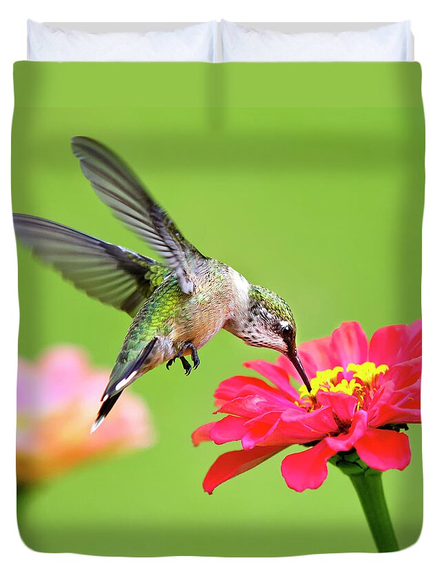 Hummingbird Duvet Cover featuring the photograph Waiting in the Wings Hummingbird Square by Christina Rollo