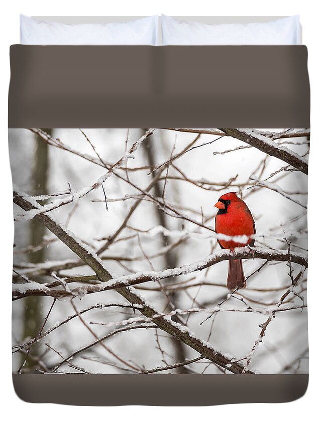 Northern Cardinal Duvet Cover featuring the photograph Waiting out the Storm by David Kay