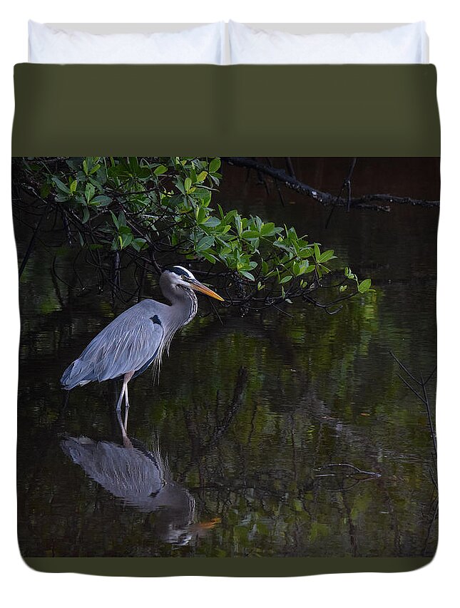 Great Blue Heron Duvet Cover featuring the photograph Waiting Patiently by Jim Bennight