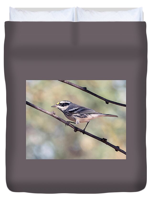 Bird Duvet Cover featuring the photograph Black-Throated Gray Warbler by Tam Ryan