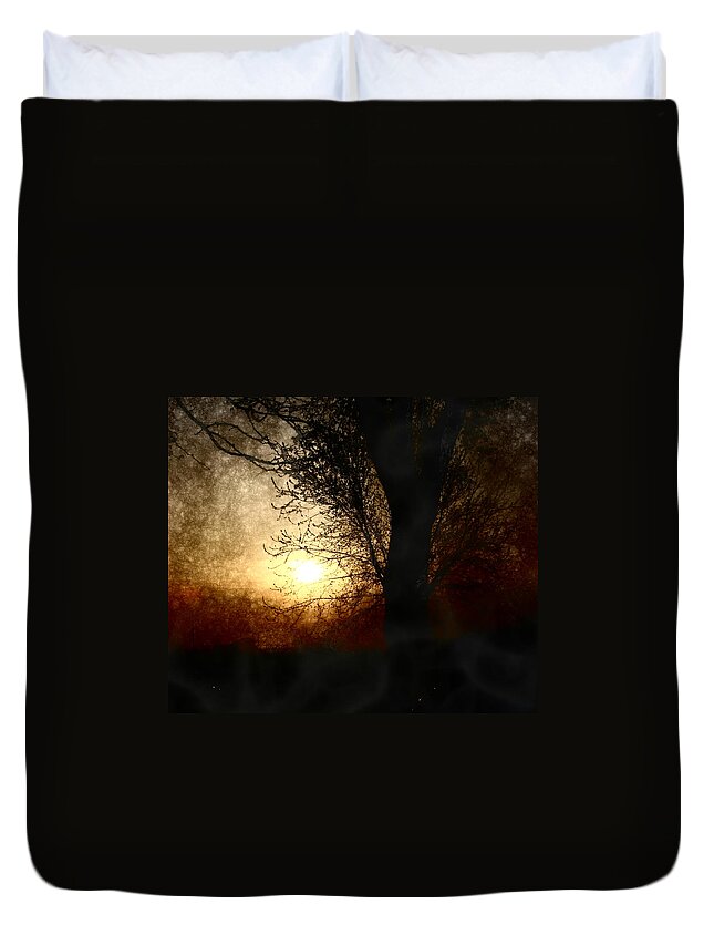 Landscape Duvet Cover featuring the photograph Walk Quietly Into the Night with Me. by Julie Lueders 