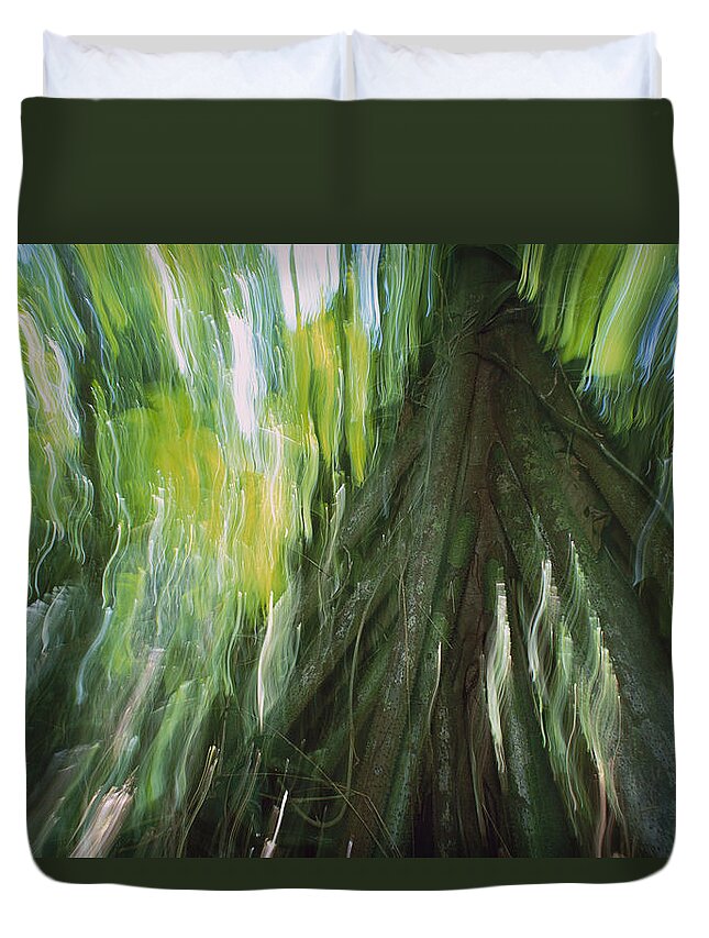 00760001 Duvet Cover featuring the photograph Walking Palm Panama by Christian Zielger