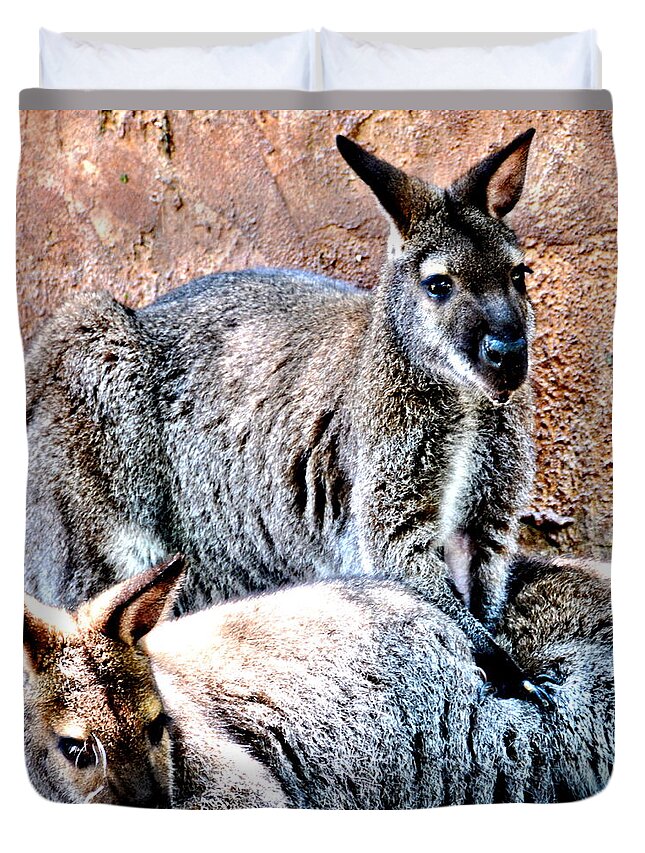 Wallaby Duvet Cover featuring the photograph Wallaby Mates by Amy McDaniel