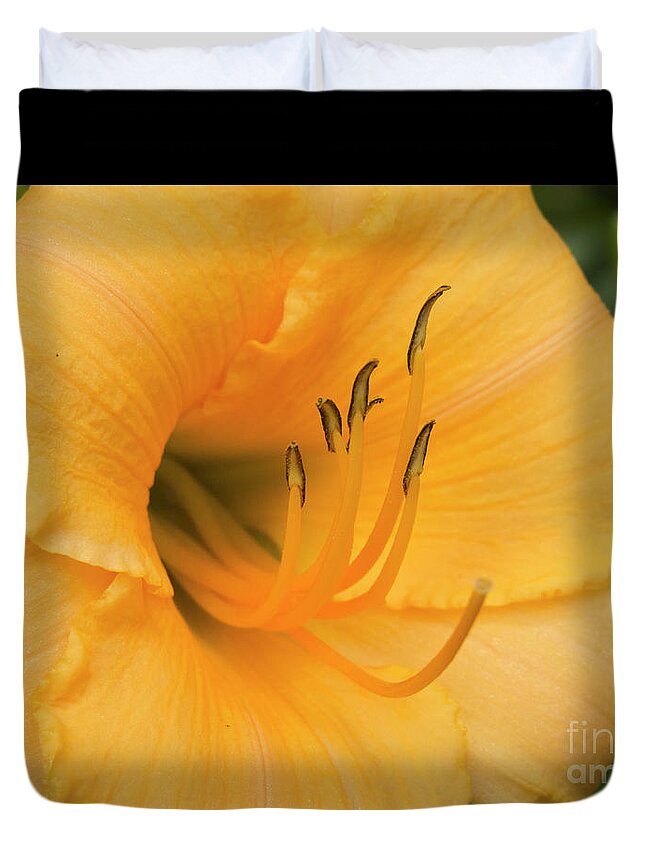 Flower Duvet Cover featuring the photograph Warm Thoughts by Jon Munson II