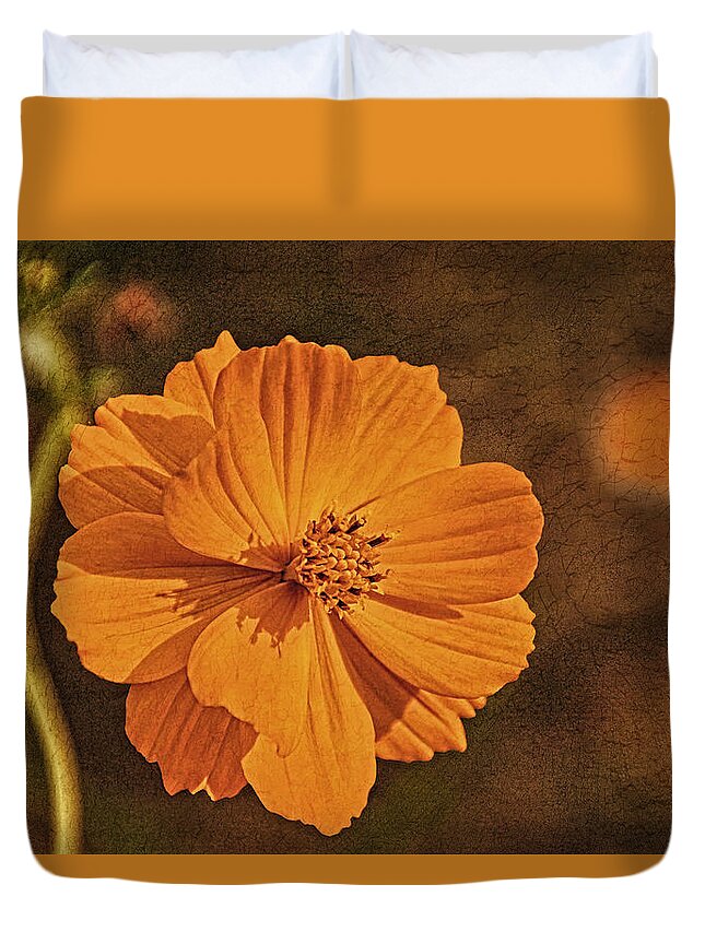 Bright Lights Duvet Cover featuring the photograph Warmth of Summer by Theo O'Connor