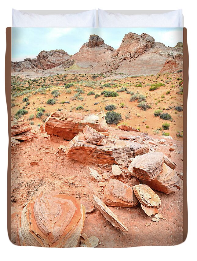 Valley Of Fire State Park Duvet Cover featuring the photograph Wash 4 in Valley of Fire by Ray Mathis