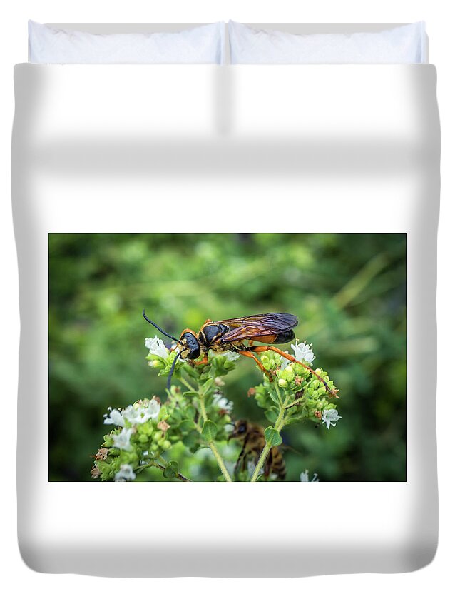 Wasp Duvet Cover featuring the photograph Wasp by Lilia S