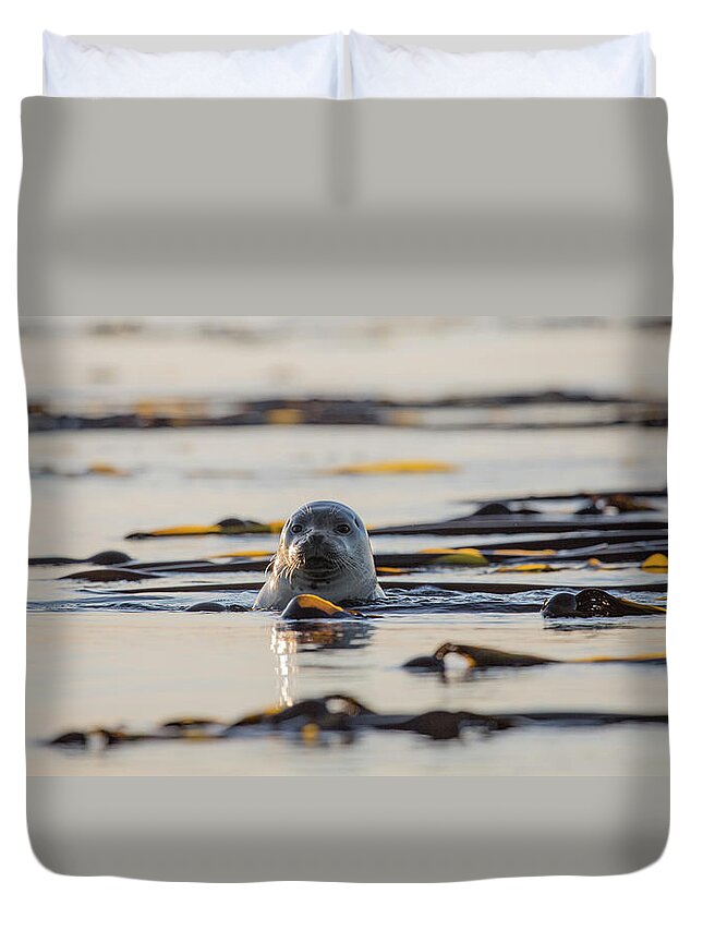 Marina Duvet Cover featuring the photograph Watching You Watch Me by Betsy Knapp