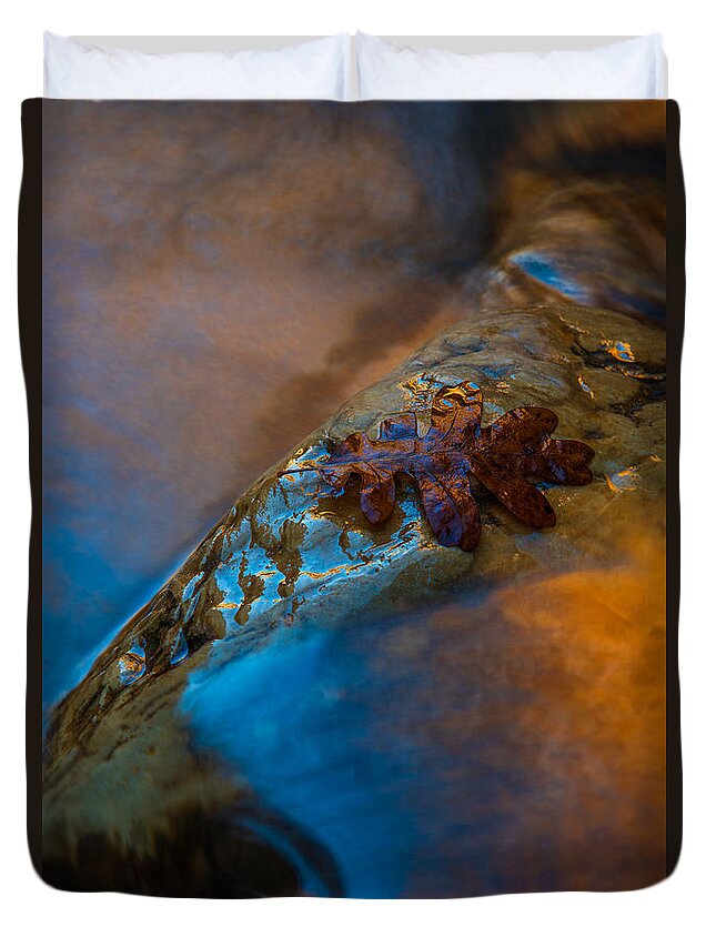 Abstract Duvet Cover featuring the photograph Water a Leaf by Dustin LeFevre
