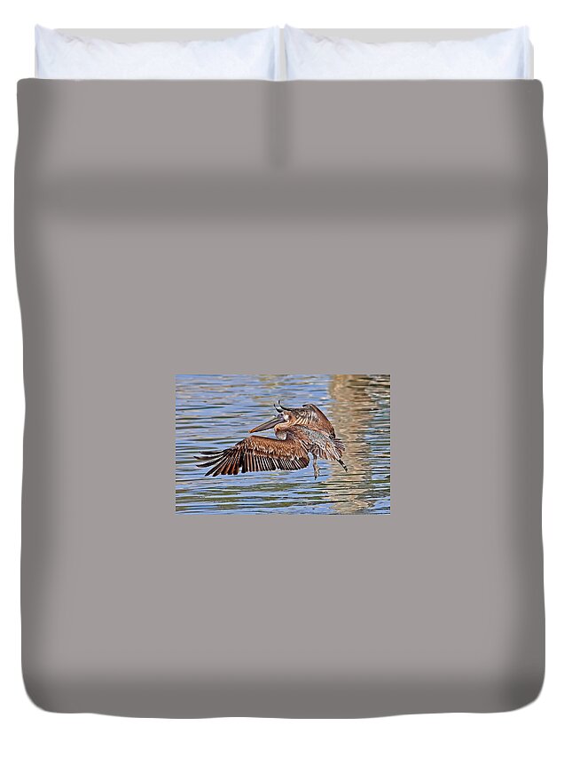 Brown Pelican Duvet Cover featuring the photograph Water Ballet - Brown Pelican by HH Photography of Florida