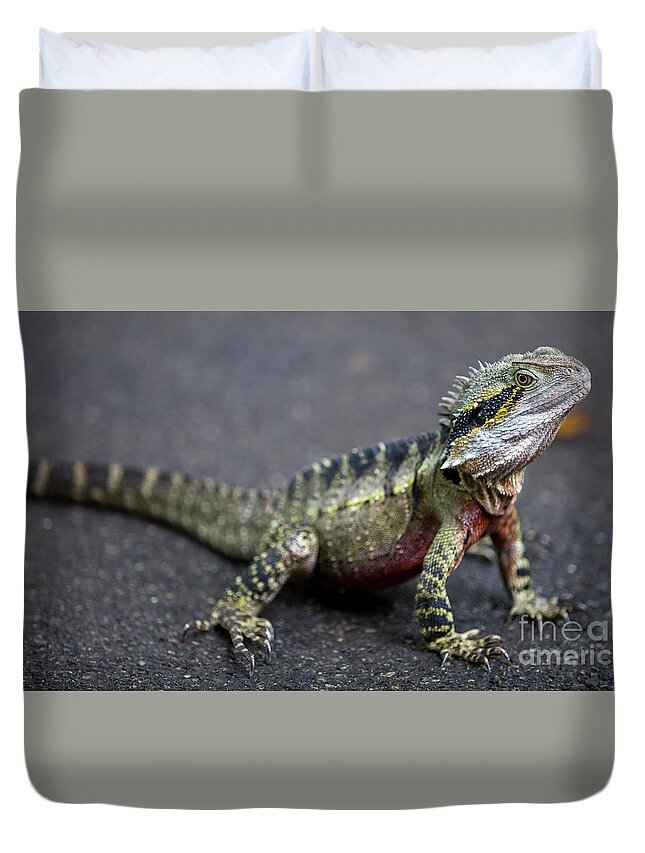 Australia Duvet Cover featuring the photograph Water dragon by Agnes Caruso