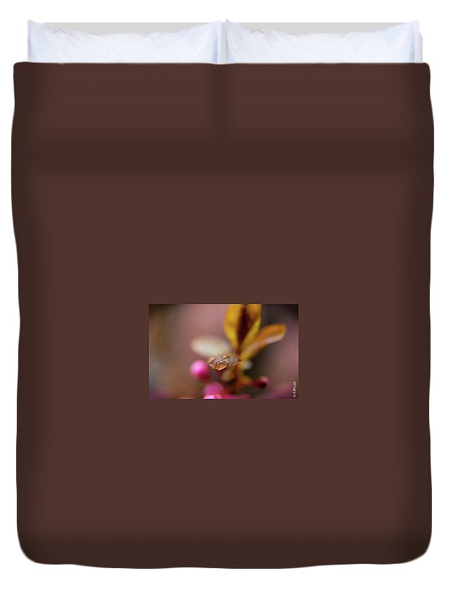 Flowers Duvet Cover featuring the photograph Water Drop by Fabio Ferreira