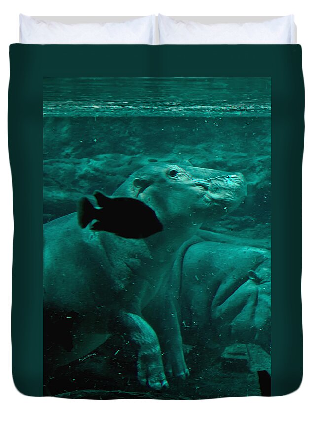 Hippo Duvet Cover featuring the digital art Water Horse Ballet by DigiArt Diaries by Vicky B Fuller