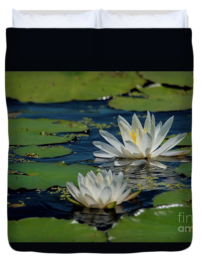 Lily Duvet Cover featuring the photograph Water Lilies by Paul Mashburn