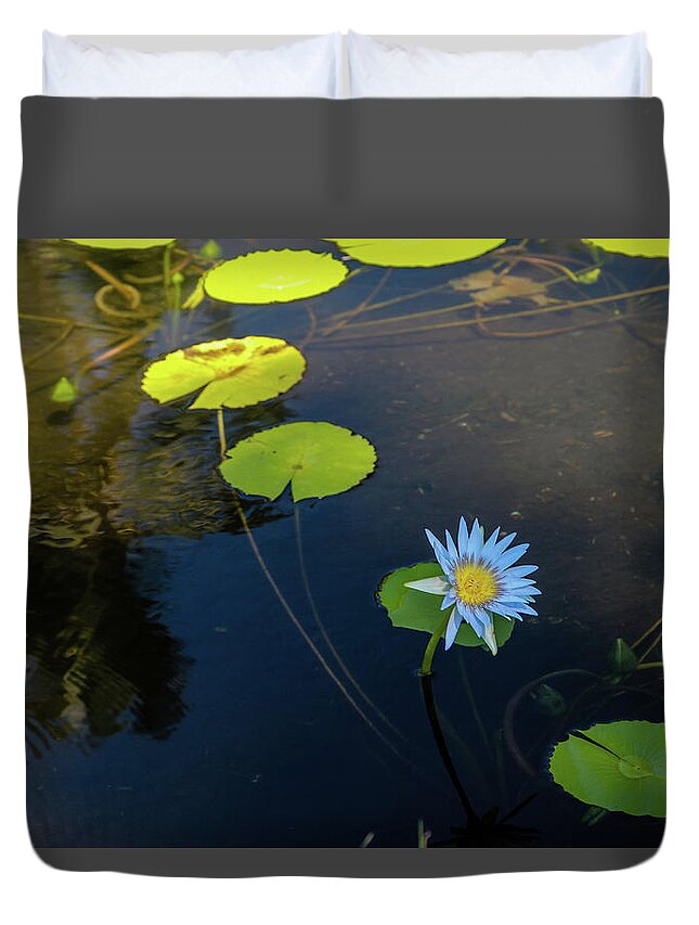 Water Lily Duvet Cover featuring the photograph Water Lily by Aashish Vaidya