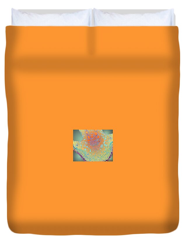 Microscopic Abstract Duvet Cover featuring the photograph Water Lily Homage by Rein Nomm