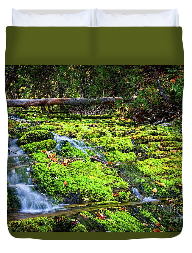 Waterfall Duvet Cover featuring the photograph Waterfall over mossy rocks by Elena Elisseeva