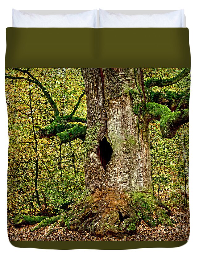 Oak Duvet Cover featuring the photograph We are here since 1000 years 1 by Heiko Koehrer-Wagner