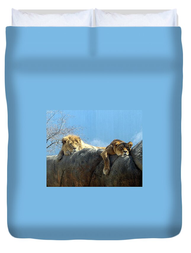 Lion Duvet Cover featuring the photograph We Are Tired by George Jones