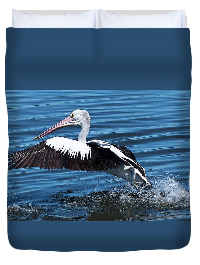 Pelicans Duvet Cover featuring the photograph We have lift off 01 by Kevin Chippindall