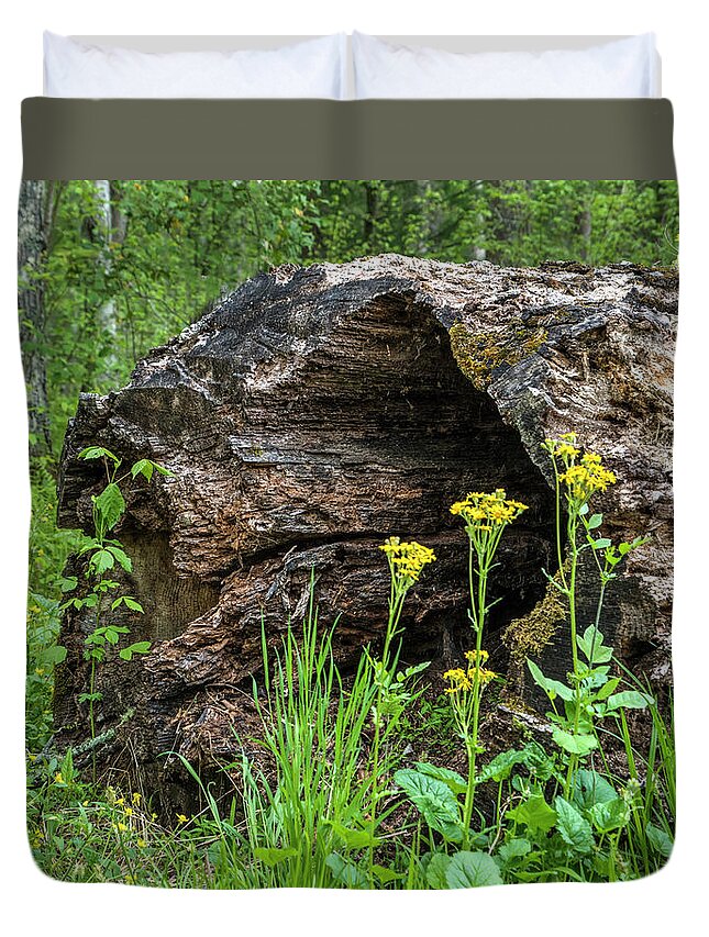 Landscapes Duvet Cover featuring the photograph Weathered Log in Cades Cove by Roberta Kayne
