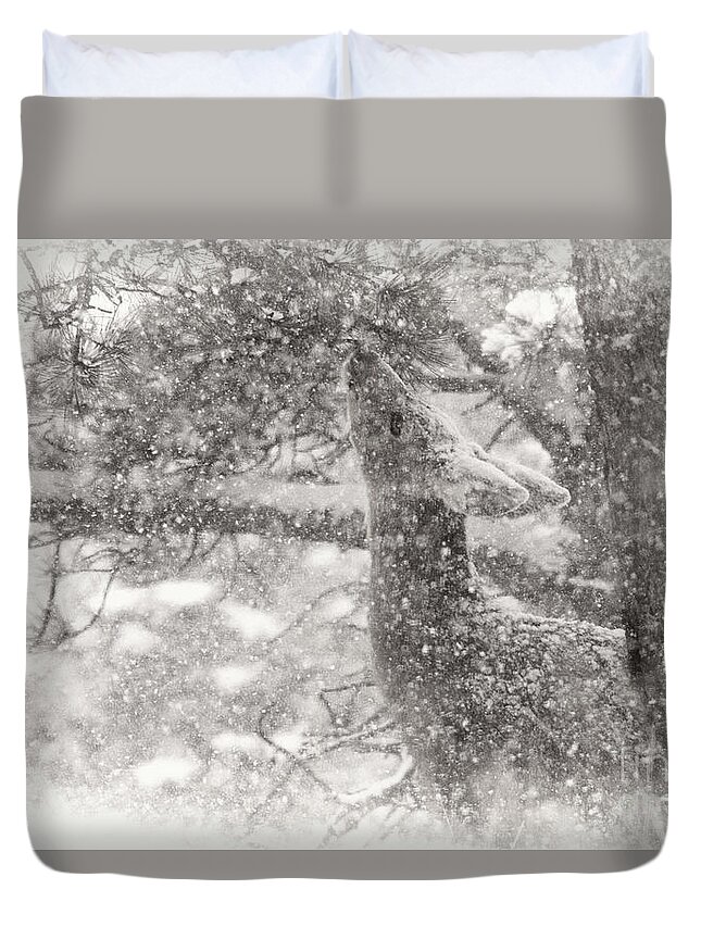 Deer Duvet Cover featuring the photograph Weathering Winter by Jim Garrison