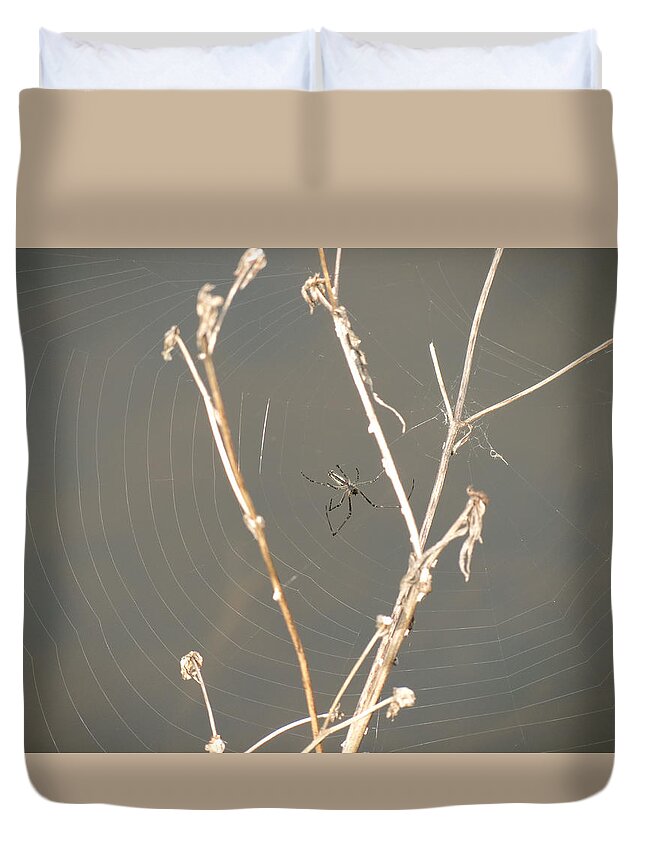 Spider Web Duvet Cover featuring the photograph Web of Wonder by Azthet Photography