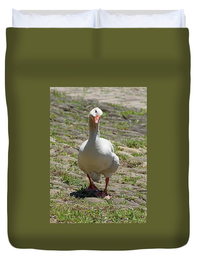 Goose Duvet Cover featuring the photograph Well Hello by Holden The Moment