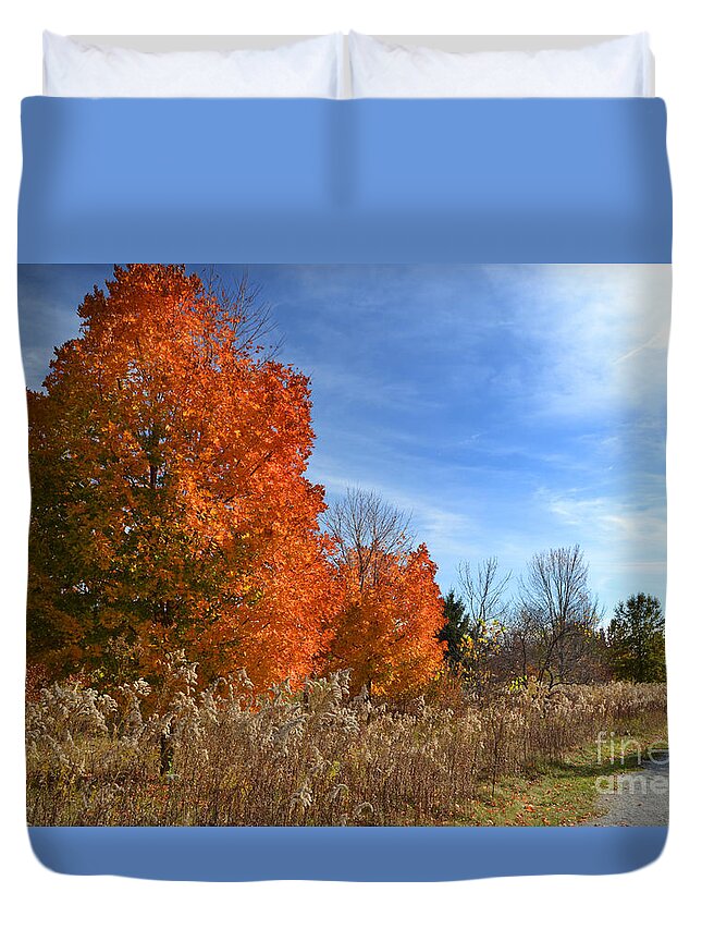 West Park Duvet Cover featuring the photograph West Park Orange Fall Trees by Amy Lucid