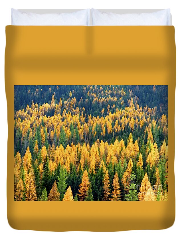 Larch Duvet Cover featuring the photograph Western Larch by Jean Wright