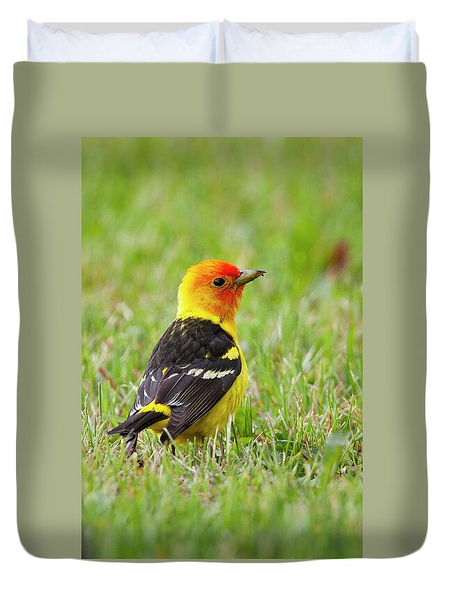 Mark Miller Photos Duvet Cover featuring the photograph Western Tanager by Mark Miller