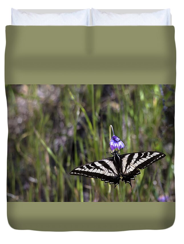 Swallowtail Duvet Cover featuring the photograph Western Tiger Swallowtail by Ed Clark