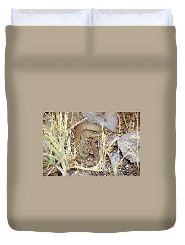 Western Yellow Bellied Racer Duvet Cover featuring the photograph Western Yellow-bellied Racer, Coluber constrictor by Breck Bartholomew