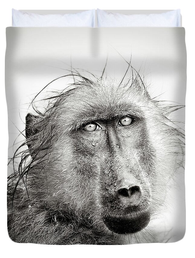 Baboon Duvet Cover featuring the photograph Wet Baboon portrait by Johan Swanepoel