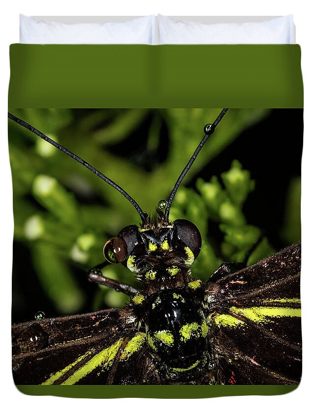 Jay Stockhaus Duvet Cover featuring the photograph Wet Butterfly by Jay Stockhaus
