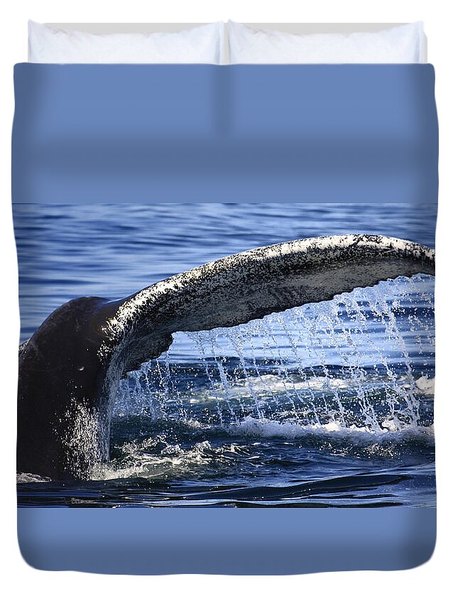 Whale Tail Duvet Cover featuring the photograph Whale Tail by Darius Aniunas